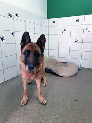 Klicken Sie hier um das Bild zu vergrößern