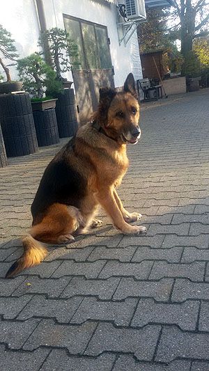 Klicken Sie hier um das Bild zu vergrößern