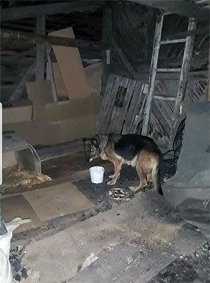 Klicken Sie hier um das Bild zu vergrößern