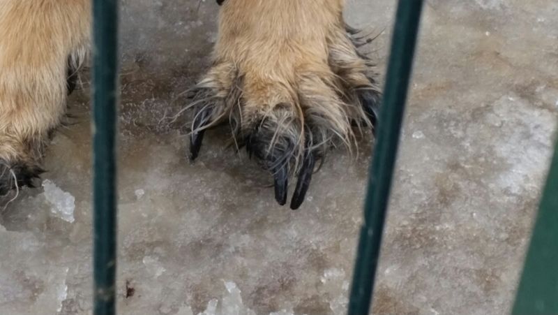 Klicken Sie hier um das Bild zu vergrößern