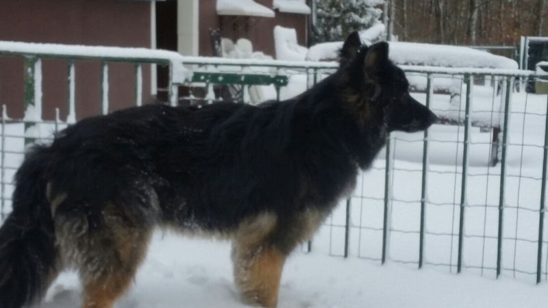 Klicken Sie hier um das Bild zu vergrößern