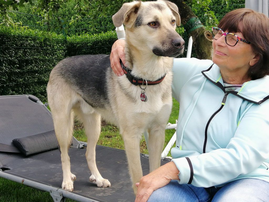 Klicken Sie hier um das Bild zu vergrößern