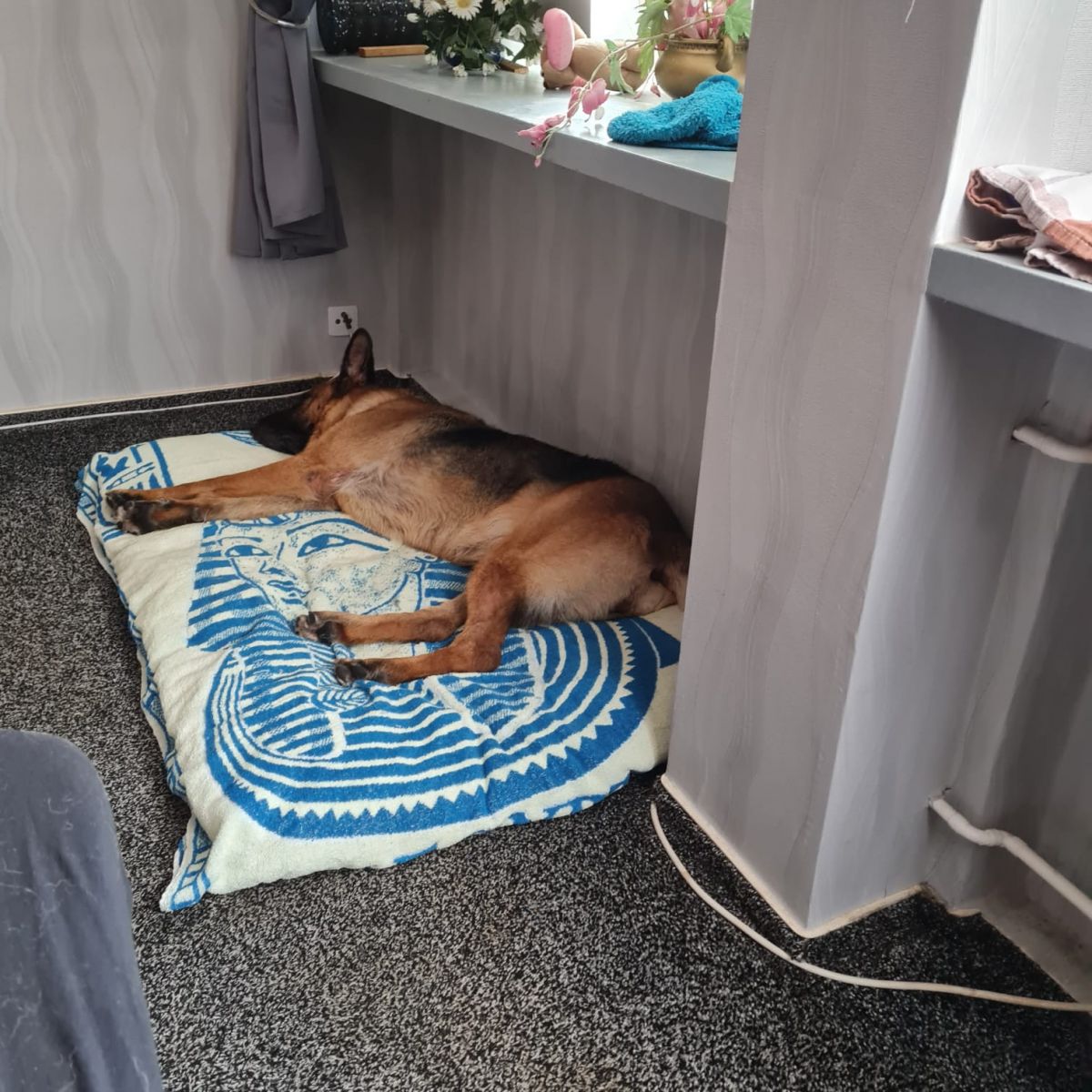 Klicken Sie hier um das Bild zu vergrößern