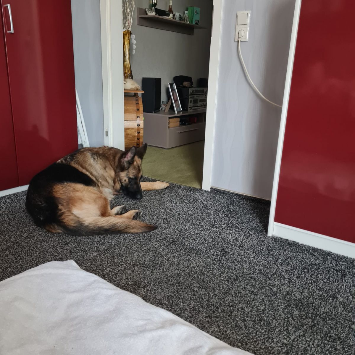Klicken Sie hier um das Bild zu vergrößern