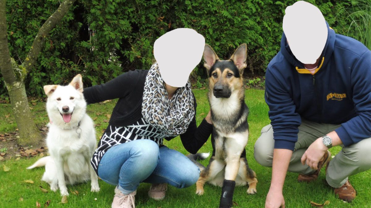 Klicken Sie hier um das Bild zu vergrößern