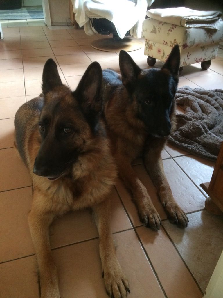 Klicken Sie hier um das Bild zu vergrößern