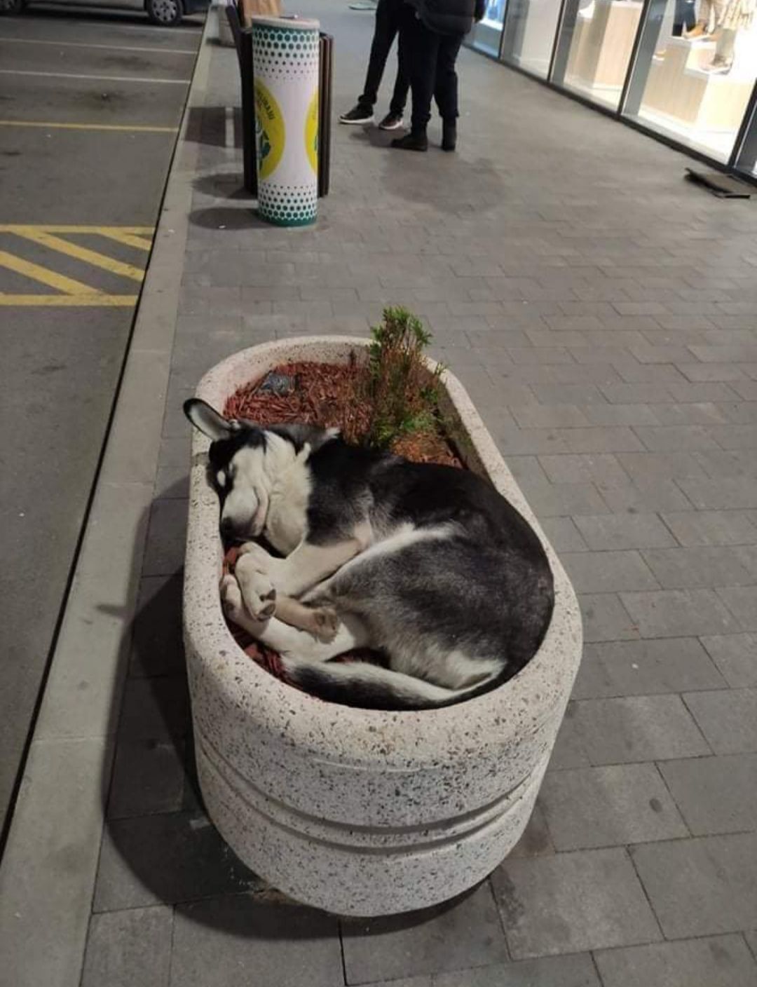 Klicken Sie hier um das Bild zu vergrößern