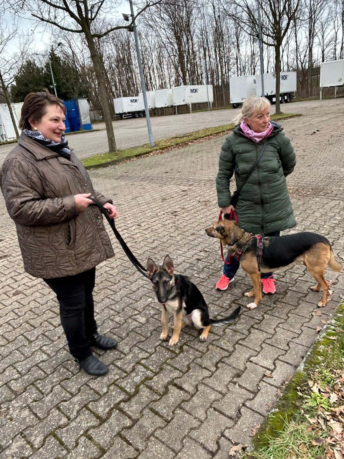 Klicken Sie hier um das Bild zu vergrößern