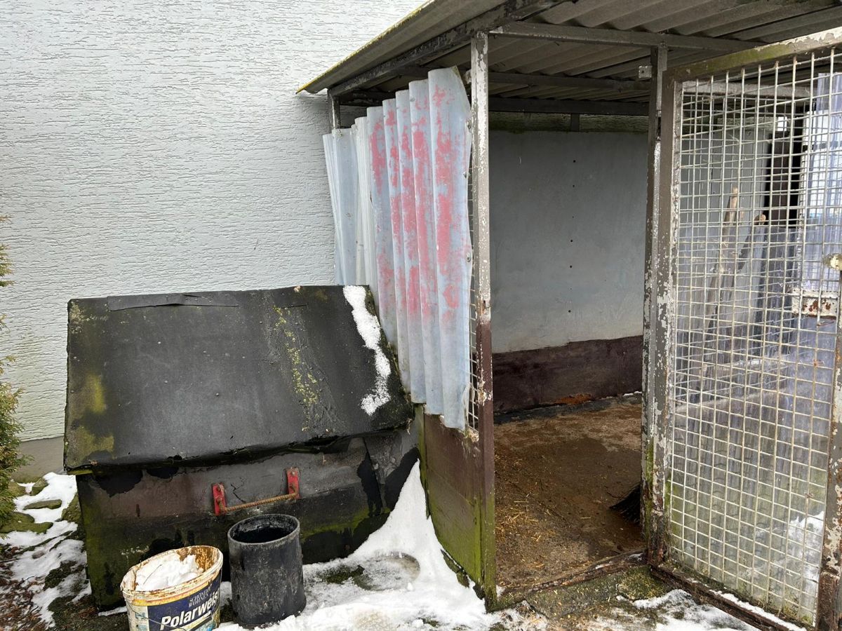 Klicken Sie hier um das Bild zu vergrößern