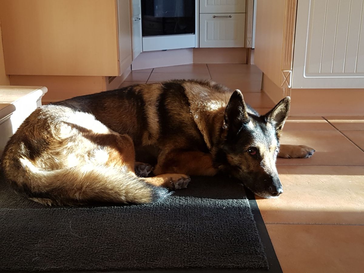 Klicken Sie hier um das Bild zu vergrößern