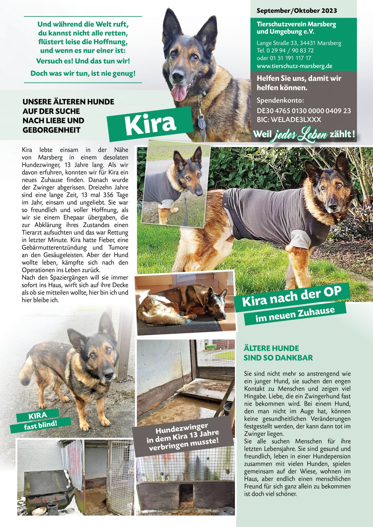 Klicken Sie hier um das Bild zu vergrößern