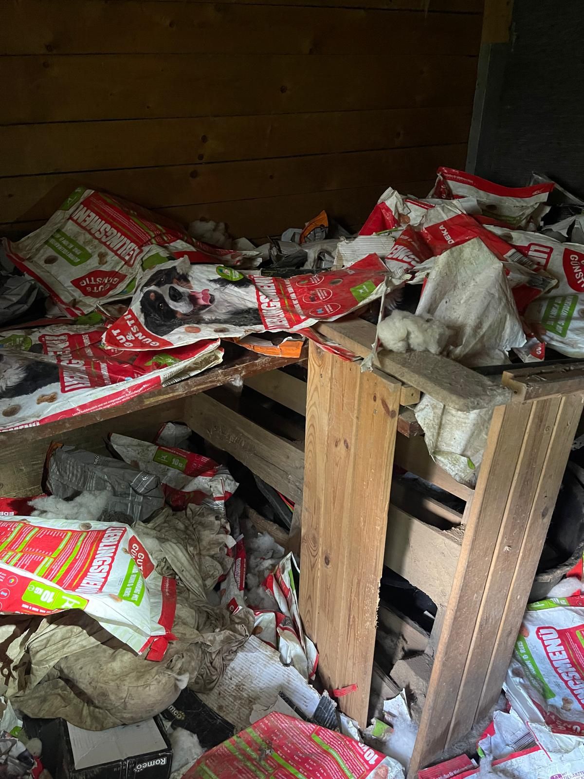 Klicken Sie hier um das Bild zu vergrößern
