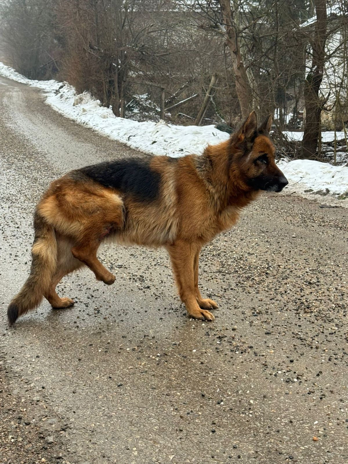 Klicken Sie hier um das Bild zu vergrößern