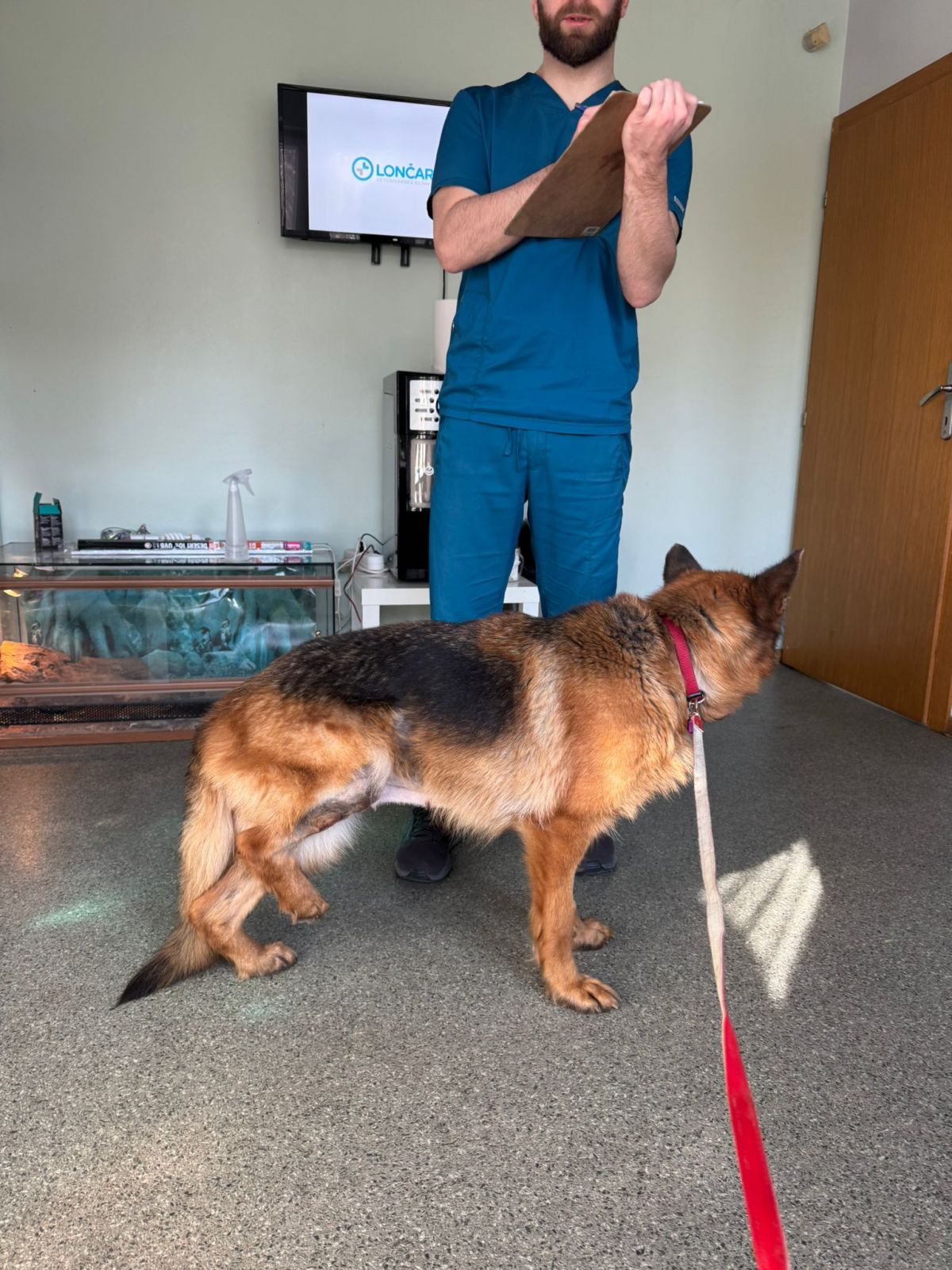 Klicken Sie hier um das Bild zu vergrößern