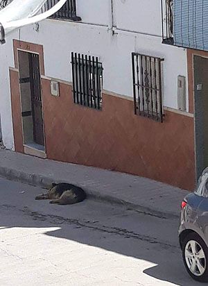 Klicken Sie hier um das Bild zu vergrößern