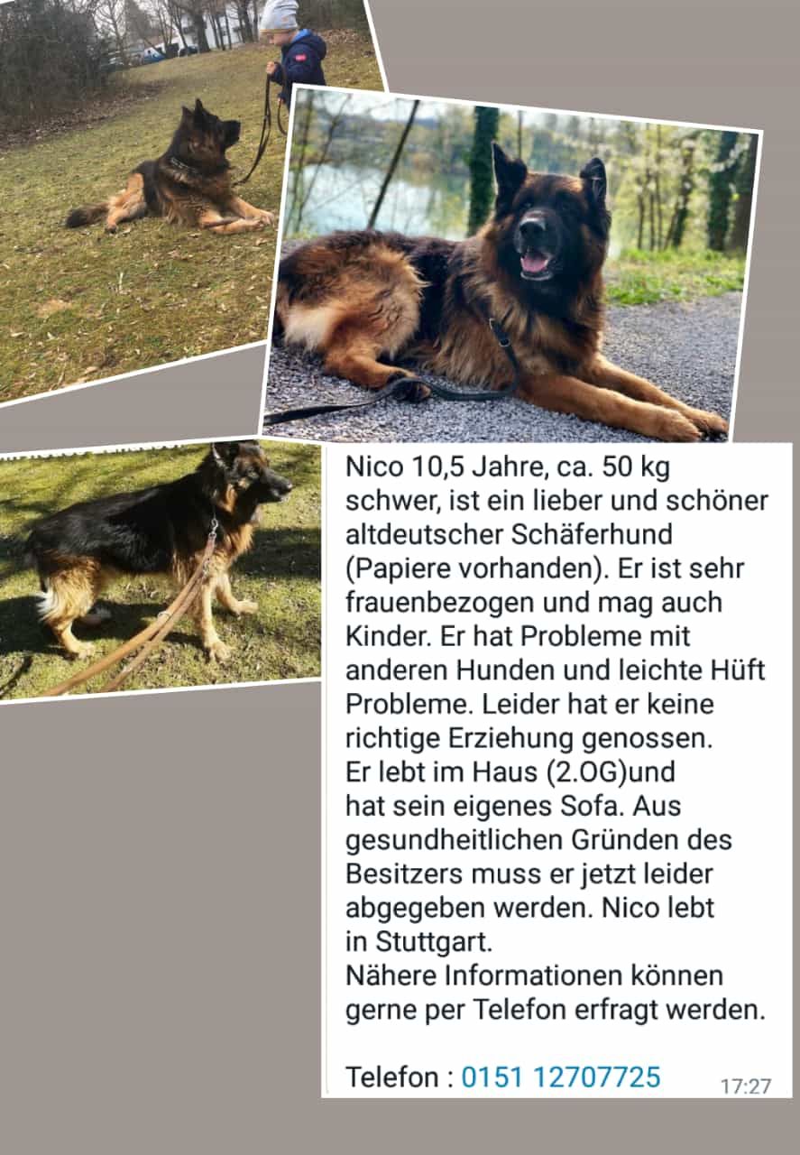 Klicken Sie hier um das Bild zu vergrößern