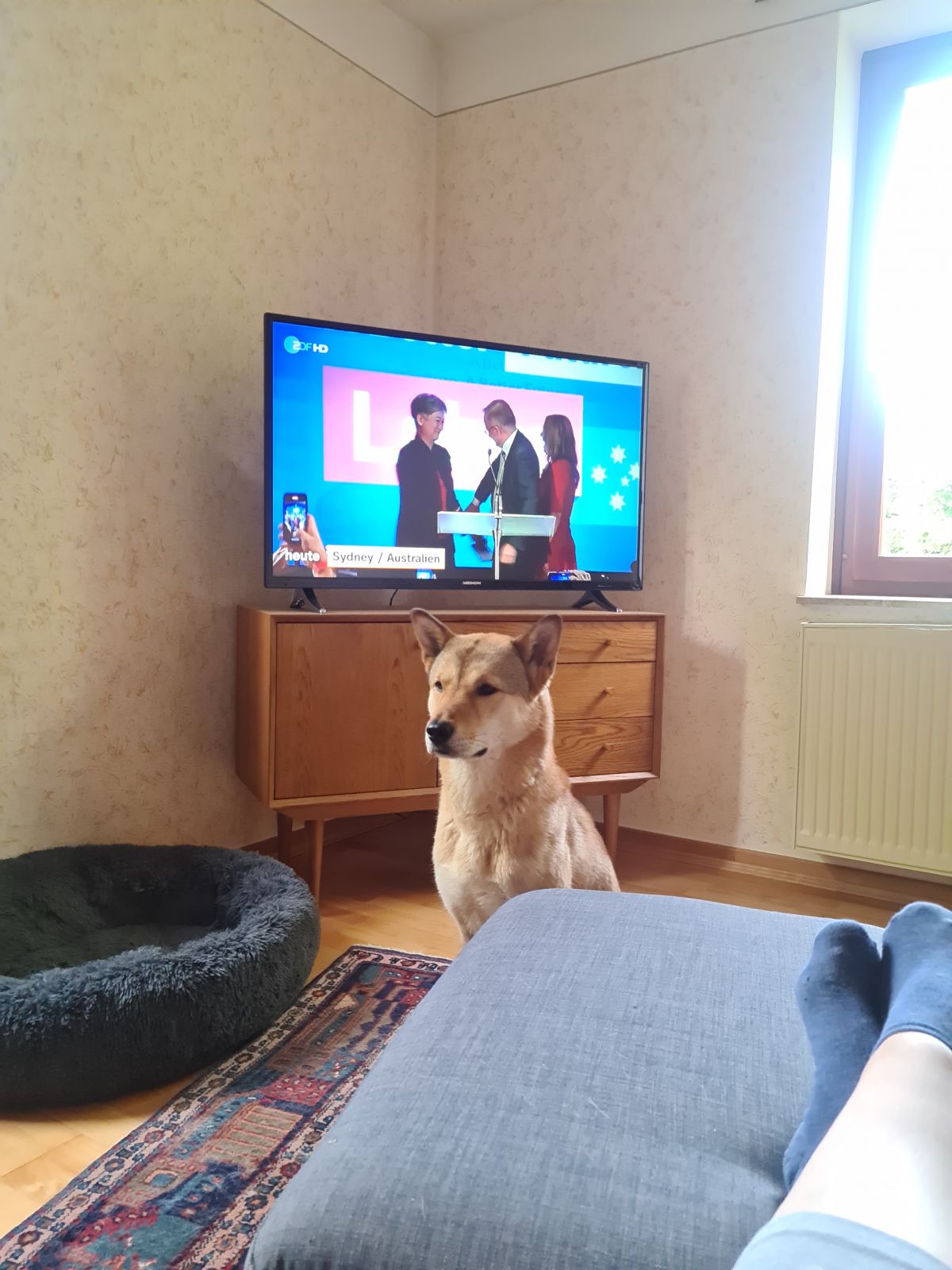 Klicken Sie hier um das Bild zu vergrößern