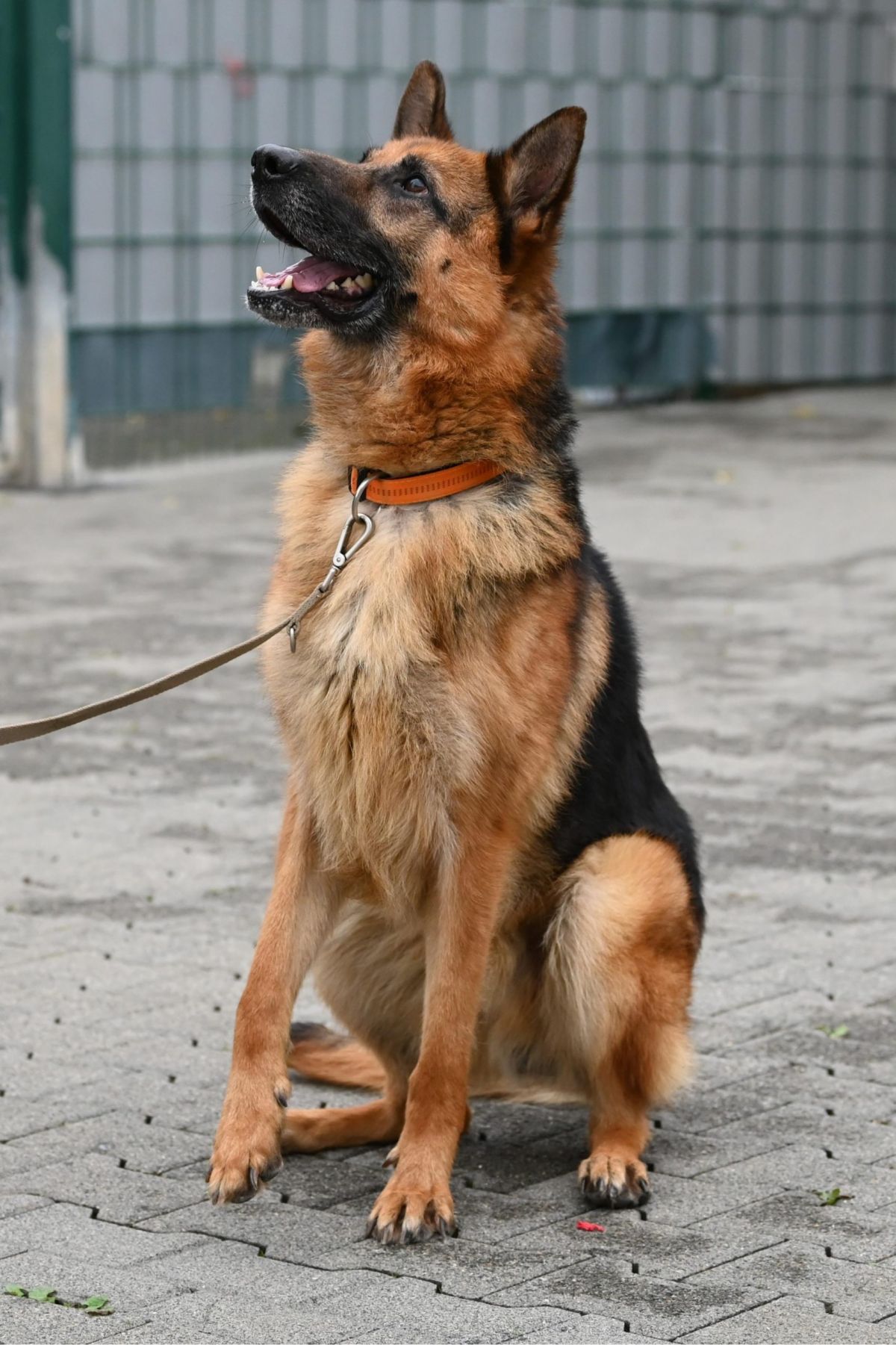 Klicken Sie hier um das Bild zu vergrößern
