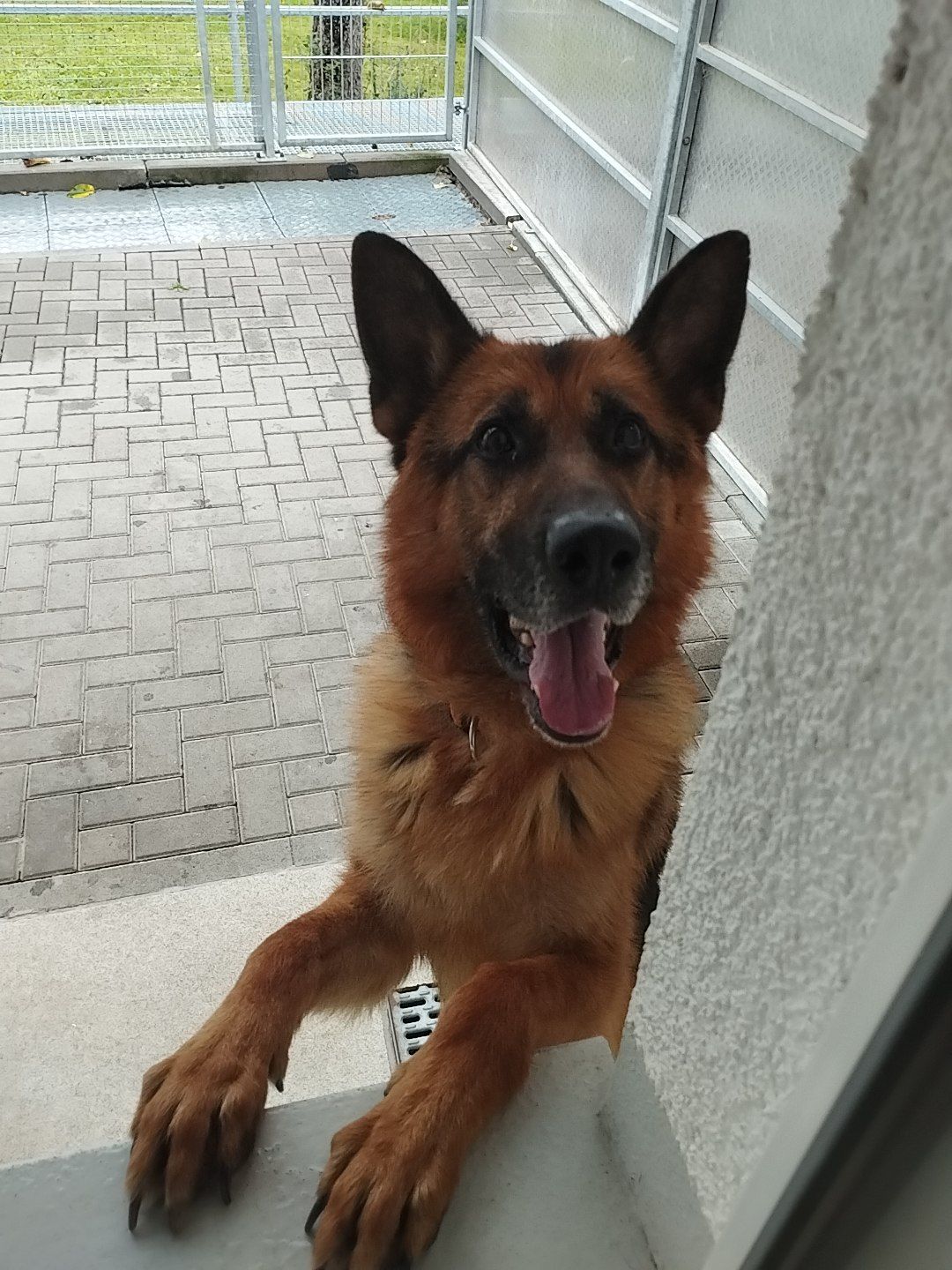 Klicken Sie hier um das Bild zu vergrößern