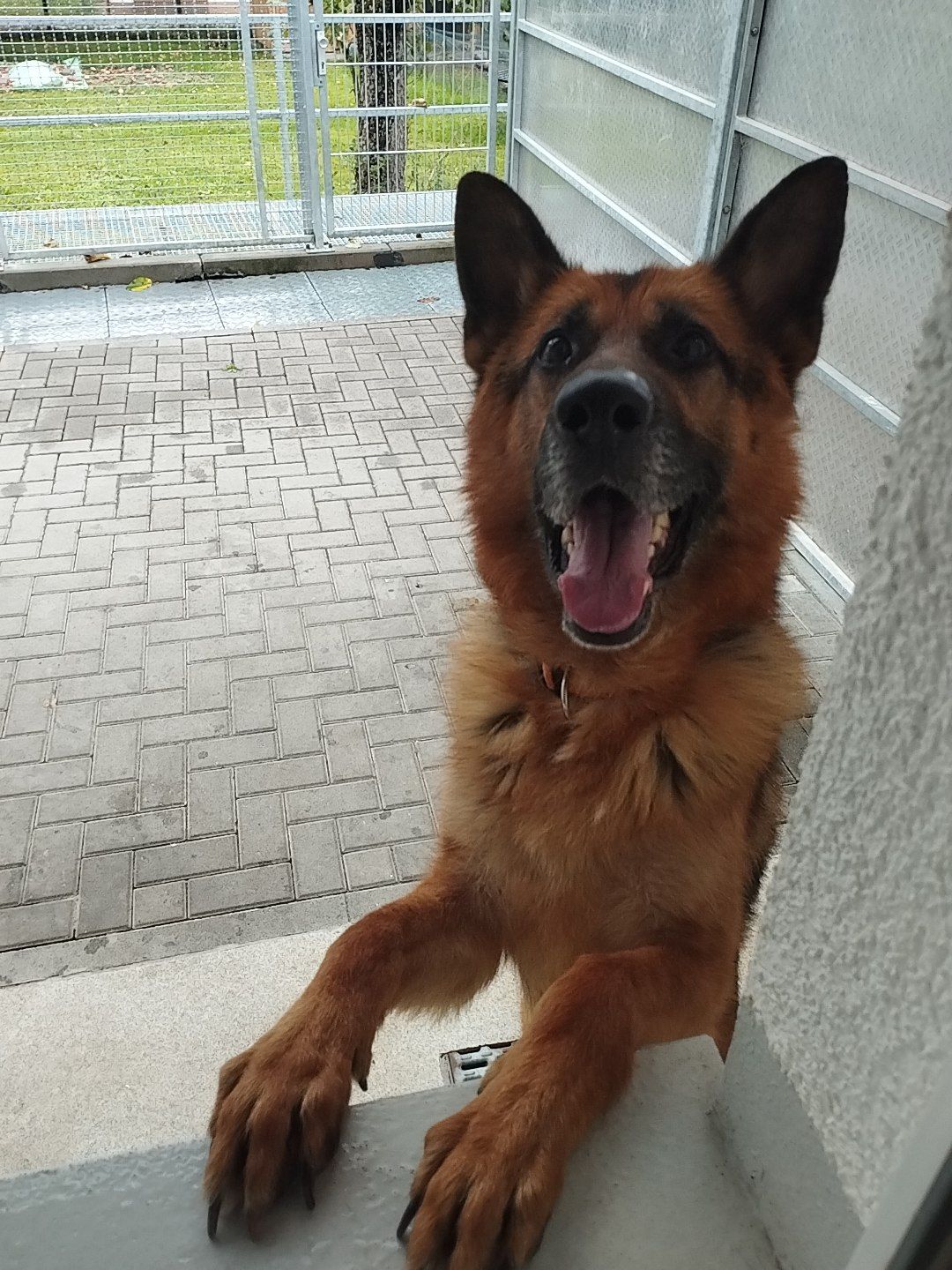 Klicken Sie hier um das Bild zu vergrößern