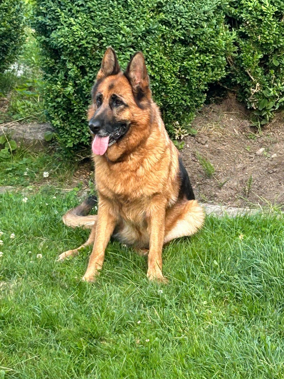 Klicken Sie hier um das Bild zu vergrößern