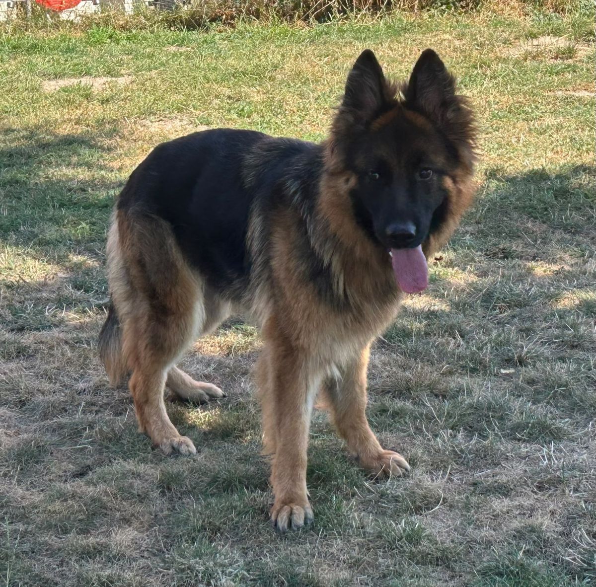 Klicken Sie hier um das Bild zu vergrößern