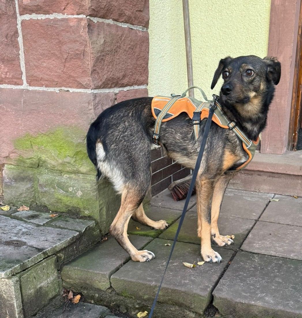 Klicken Sie hier um das Bild zu vergrößern