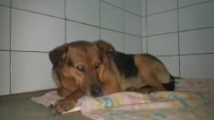 Klicken Sie hier um das Bild zu vergrößern